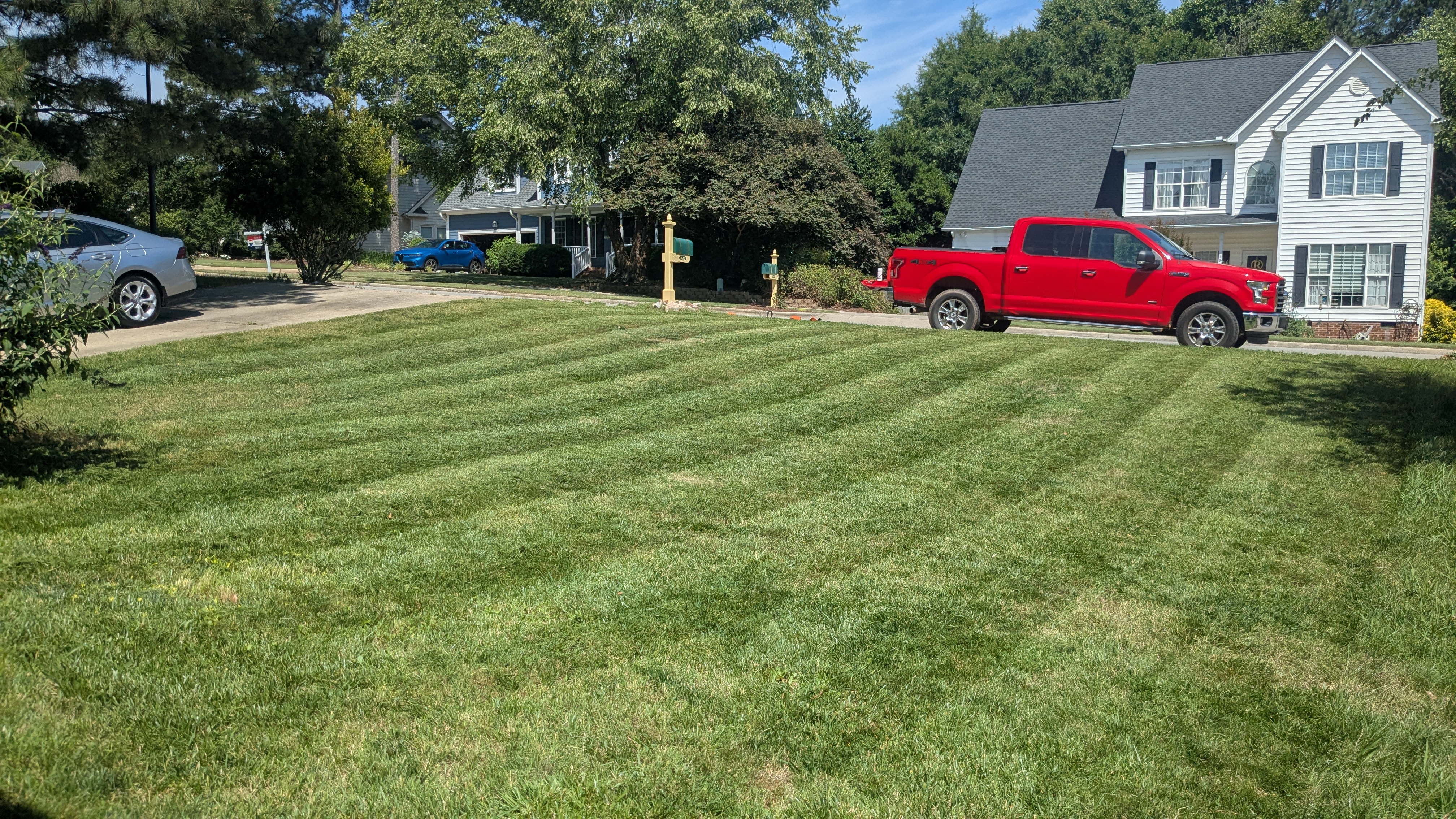 Freshly mown lawn with crisp mowing stripes