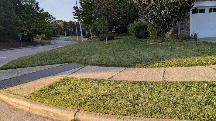 Mowing & Maintenance